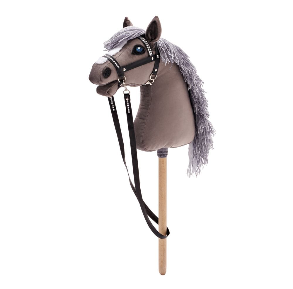 Jakie dodatki wybrać dla hobby horse
